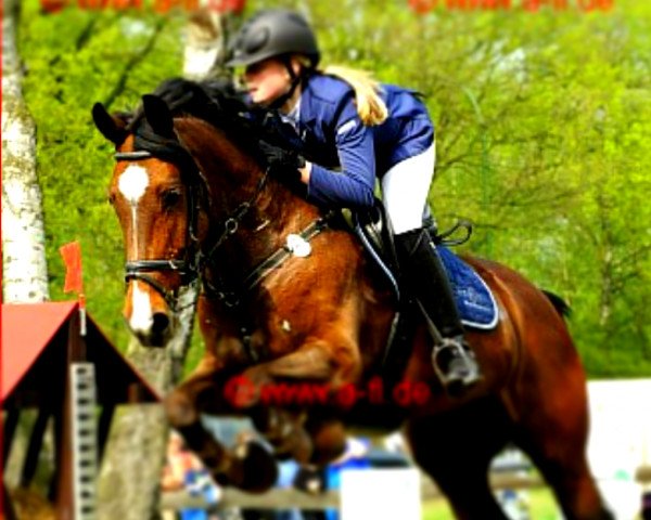 jumper Victoria (KWPN (Royal Dutch Sporthorse), 2002, from Hattrick VDL)