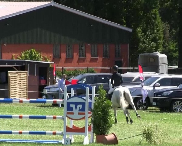 Reitturnier Hanerau-Hademarschen 2018