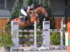 jumper For Fun (Hessian Warmblood, 2004, from Forsyth)