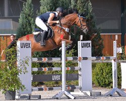 jumper For Fun (Hessian Warmblood, 2004, from Forsyth)