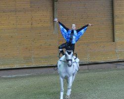 dressage horse Philai (Westphalian, 2008, from Priano)