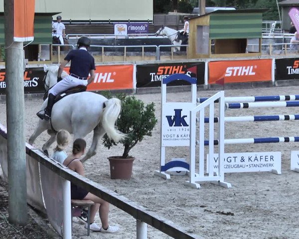 Reitturnier Waiblingen 2018