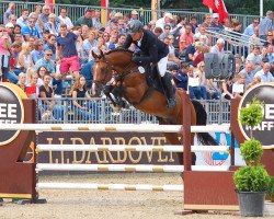 stallion Lalique del Chirone (Hanoverian, 2012, from Lincolm L)