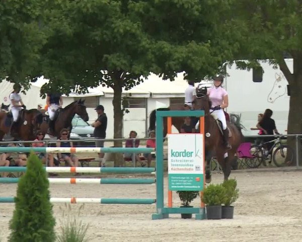 Hohenloher Reit Event 2018