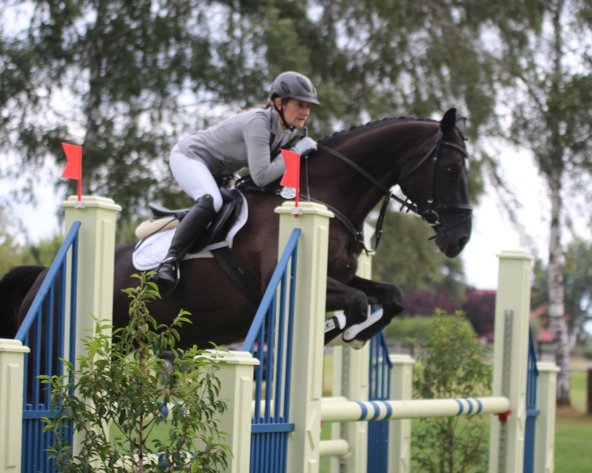 jumper Alice Noire (Hanoverian, 2007, from Alabaster)