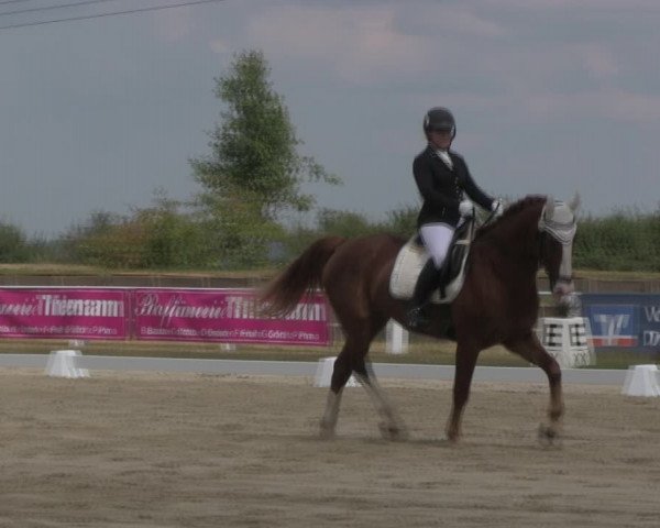 Reitturnier Baschütz bei Bautzen 2018