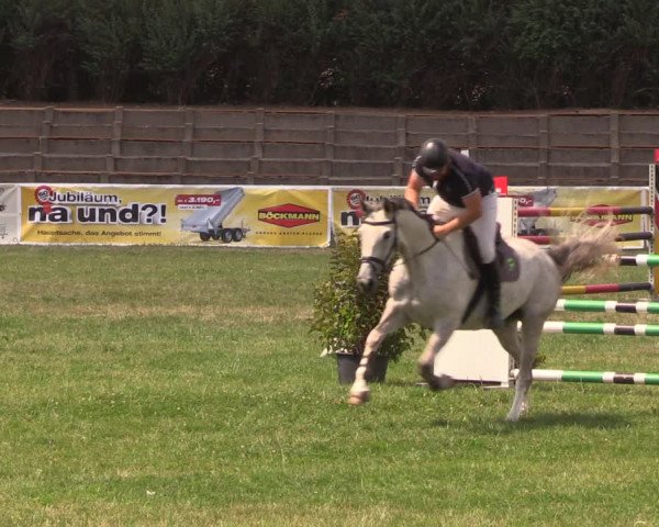 Reitturnier Baschütz bei Bautzen 2018