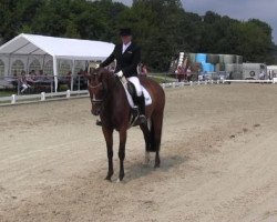 dressage horse Ruby 114 (Westphalian, 2004, from Rubinels)