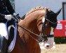 broodmare Carrica 7 (German Sport Horse, 2010, from Carrico)