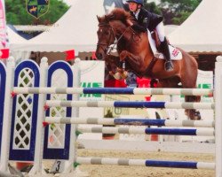 Springpferd Moneymaker (Belgisches Reitpony, 2000)