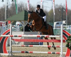 horse Galliano (Hanoverian, 2011, from Gavi)