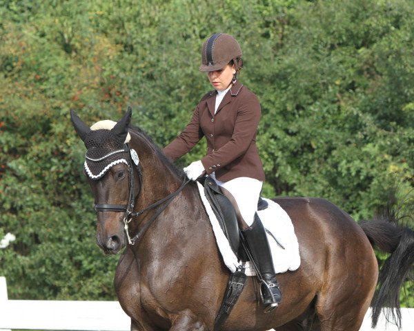 dressage horse Caprix (Danish Warmblood, 2000, from Caprilli)