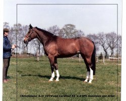 broodmare Christiniana (Hanoverian, 1974, from Cardinal xx)