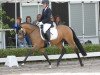 dressage horse Grape Ivy (German Riding Pony, 2013, from Bazooka)