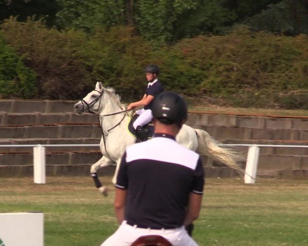 Reitturnier Baschütz bei Bautzen 2018