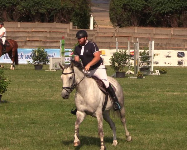 Reitturnier Baschütz bei Bautzen 2018