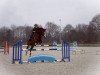 jumper Desert Rose 23 (Oldenburg show jumper, 2011, from Diarado)