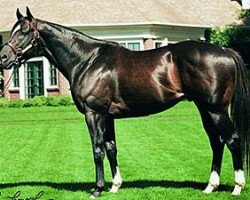 stallion Dixie Union xx (Thoroughbred, 1997, from Dixieland Band xx)