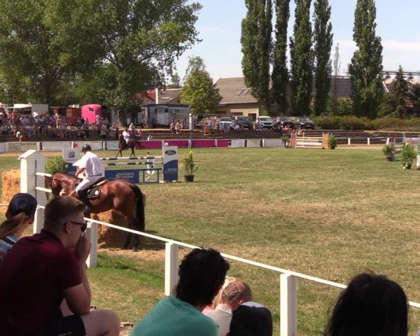 Reitturnier Baschütz bei Bautzen 2018