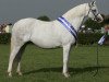 broodmare Llanarth Camilla (Welsh-Pony (Section B), 2001, from Douthwaite Signwriter)