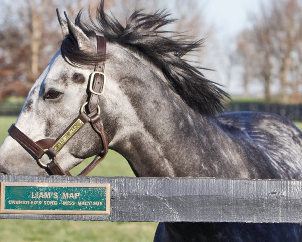 stallion Liams Map xx (Thoroughbred, 2011, from Unbridled's Song xx)