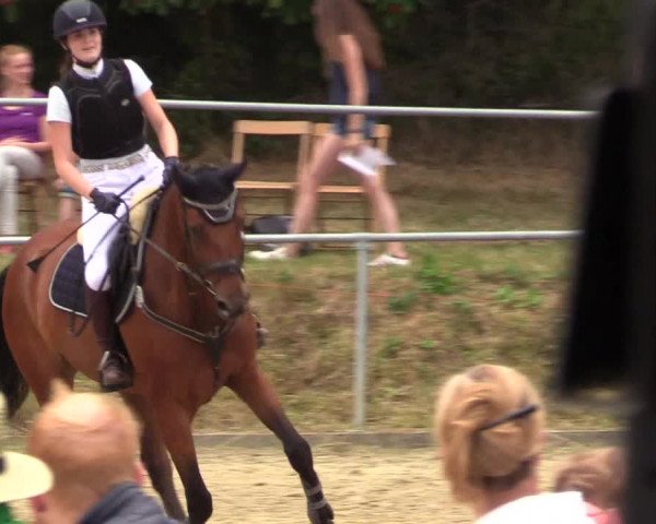Reitturnier Brilon-Reitanlage Volbracht 2018