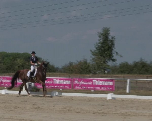 Reitturnier Baschütz bei Bautzen 2018
