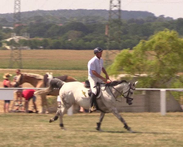 Reitturnier Baschütz bei Bautzen 2018