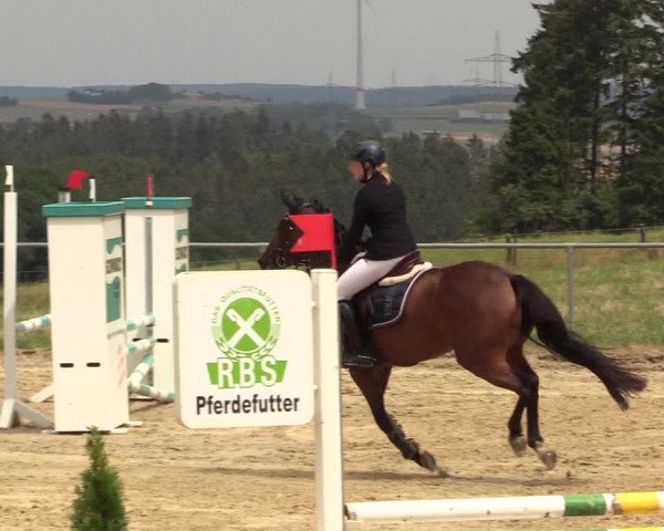 Reitturnier Brilon-Reitanlage Volbracht 2018