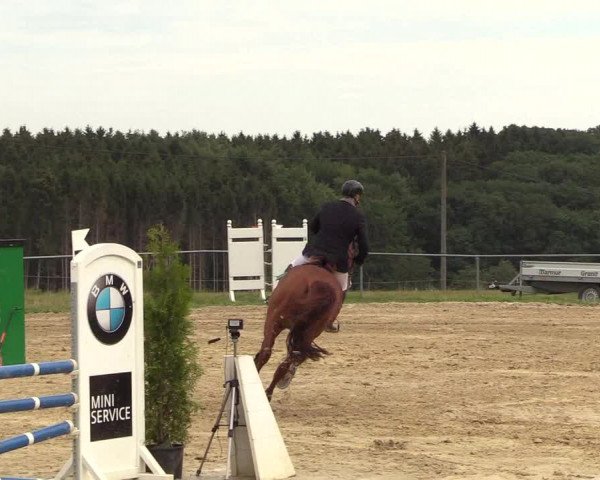 Reitturnier Brilon-Reitanlage Volbracht 2018