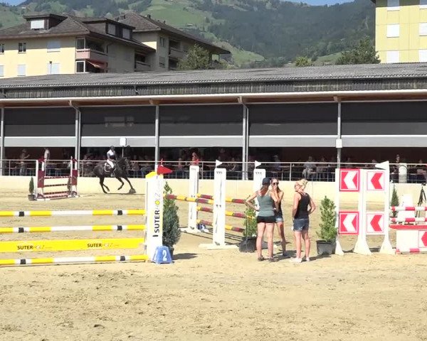 Schwyzer Pferdesporttage 2018