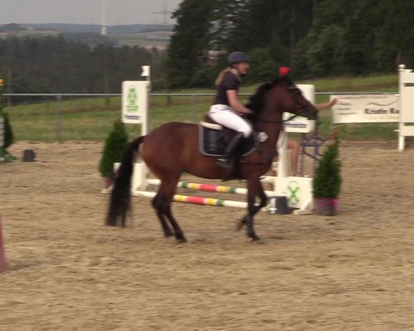 Reitturnier Brilon-Reitanlage Volbracht 2018