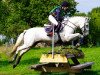 stallion Springfield Shadow (Connemara Pony, 2003, from Innellan Kestrel 15 IC)