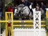 jumper Merano (German Riding Pony, 2005, from Rashing Boy)