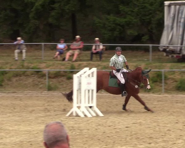 Reitturnier Brilon-Reitanlage Volbracht 2018