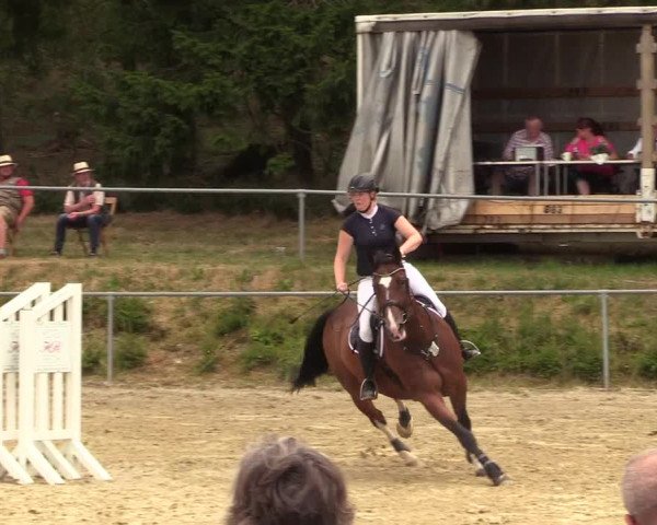 Reitturnier Brilon-Reitanlage Volbracht 2018