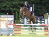 jumper Cello P (Hanoverian, 2012, from Cent 15)