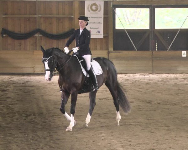 Reitturnier Pellheim-Gerblhof 2018