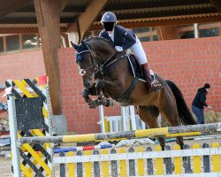 jumper Aristokratt (Hanoverian, 2011, from Contendros 2)