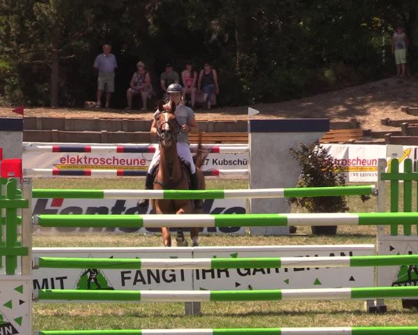 Reitturnier Baschütz bei Bautzen 2018