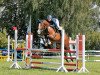 jumper Cor Am (German Sport Horse, 2011, from Consotho)