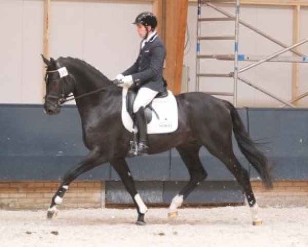 dressage horse Fairytale (KWPN (Royal Dutch Sporthorse), 2010, from Lord Leatherdale)