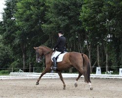 dressage horse Soleil de Vie (Hanoverian, 2008, from Scolari)