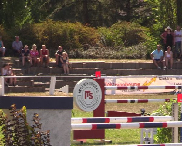 Reitturnier Baschütz bei Bautzen 2018