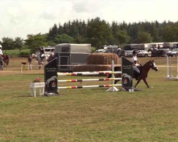 Reitturnier Ladelund 2018