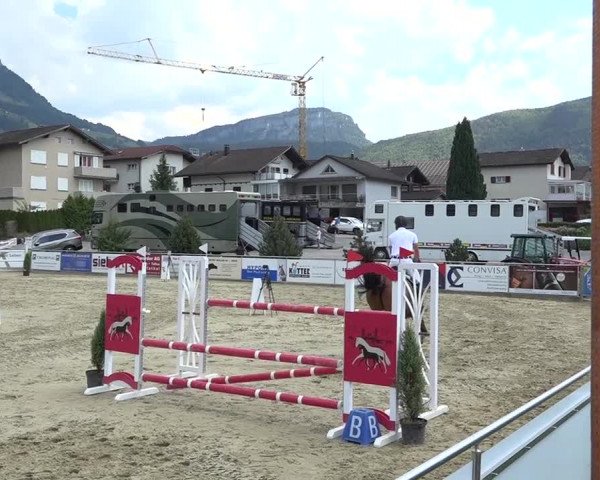 Schwyzer Pferdesporttage 2018