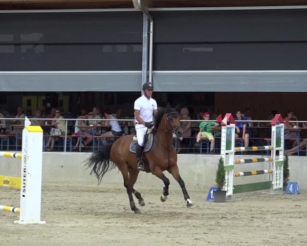Schwyzer Pferdesporttage 2018