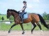 dressage horse Bacific Ryal K (KWPN (Royal Dutch Sporthorse), 2006, from Pacific)