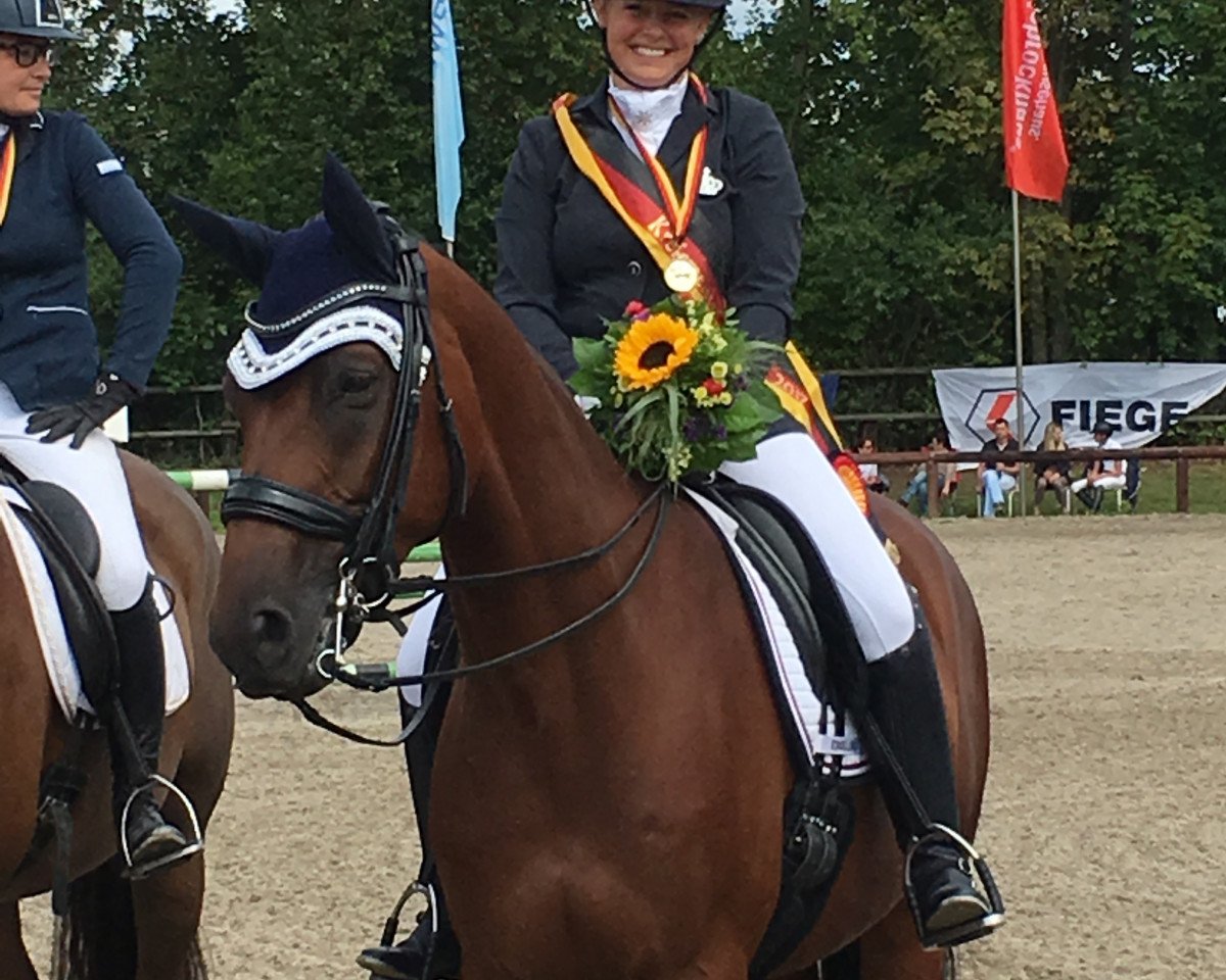 dressage horse Sir Stuart (Trakehner, 2008, from Münchhausen)