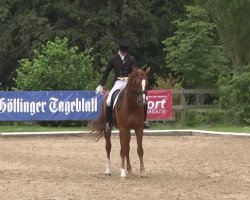 dressage horse Sai Baba Plus (Hanoverian, 2007, from Sir Donnerhall I)